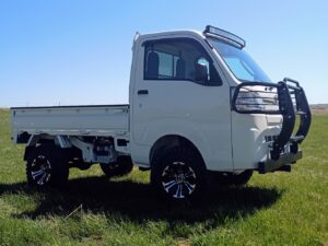 2016 Daihatsu Regular Cab